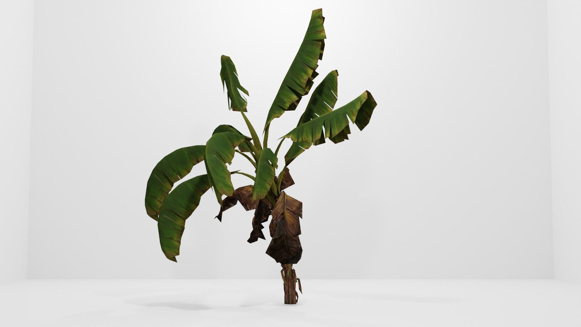 Tree Low-poly 3D model banana plant Low-poly 3D model_8