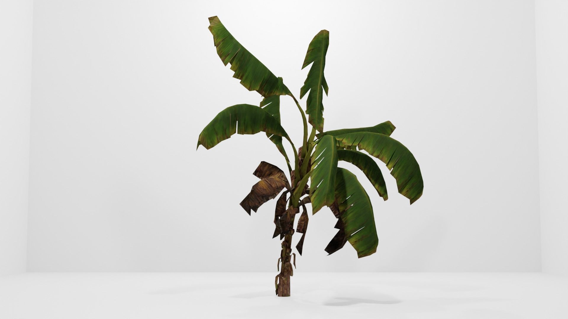 Tree Low-poly 3D model banana plant Low-poly 3D model_13