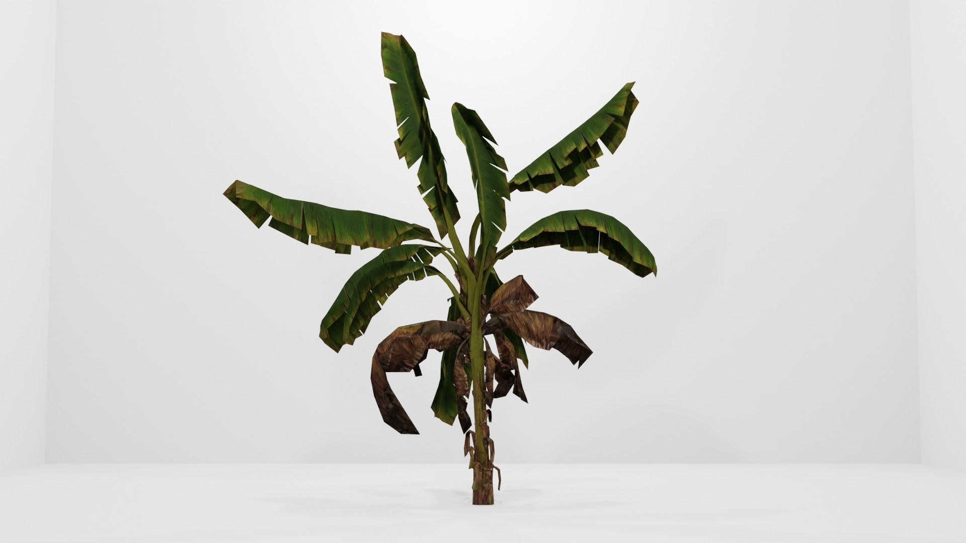 Tree Low-poly 3D model banana plant Low-poly 3D model_1