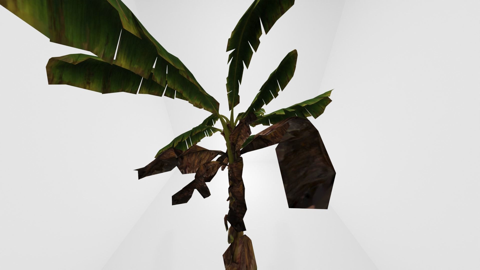 Tree Low-poly 3D model banana plant Low-poly 3D model_18