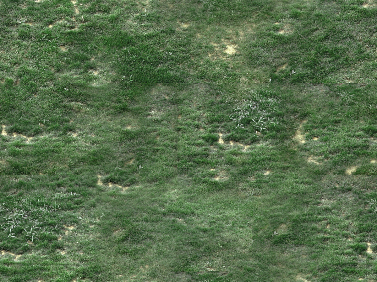 Natural Texture Set 1 Texture_7