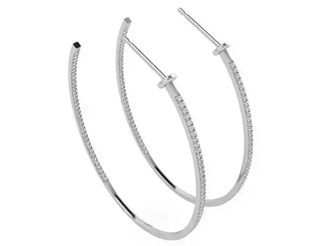 Luxurious earrings 3468 3D print model