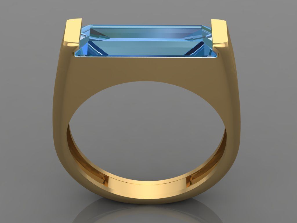 Ring 3D Print 3D print model 3D print model 3D print model go... 3D print model_1