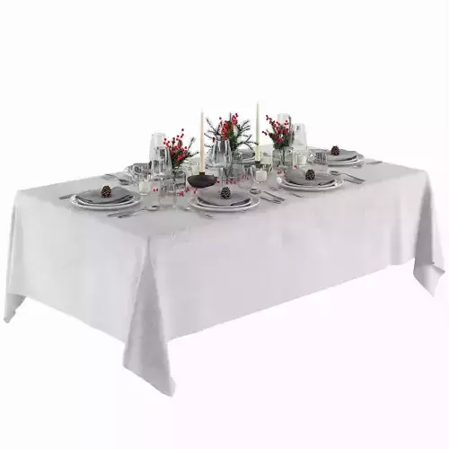 Serving Tableware 13  3D model