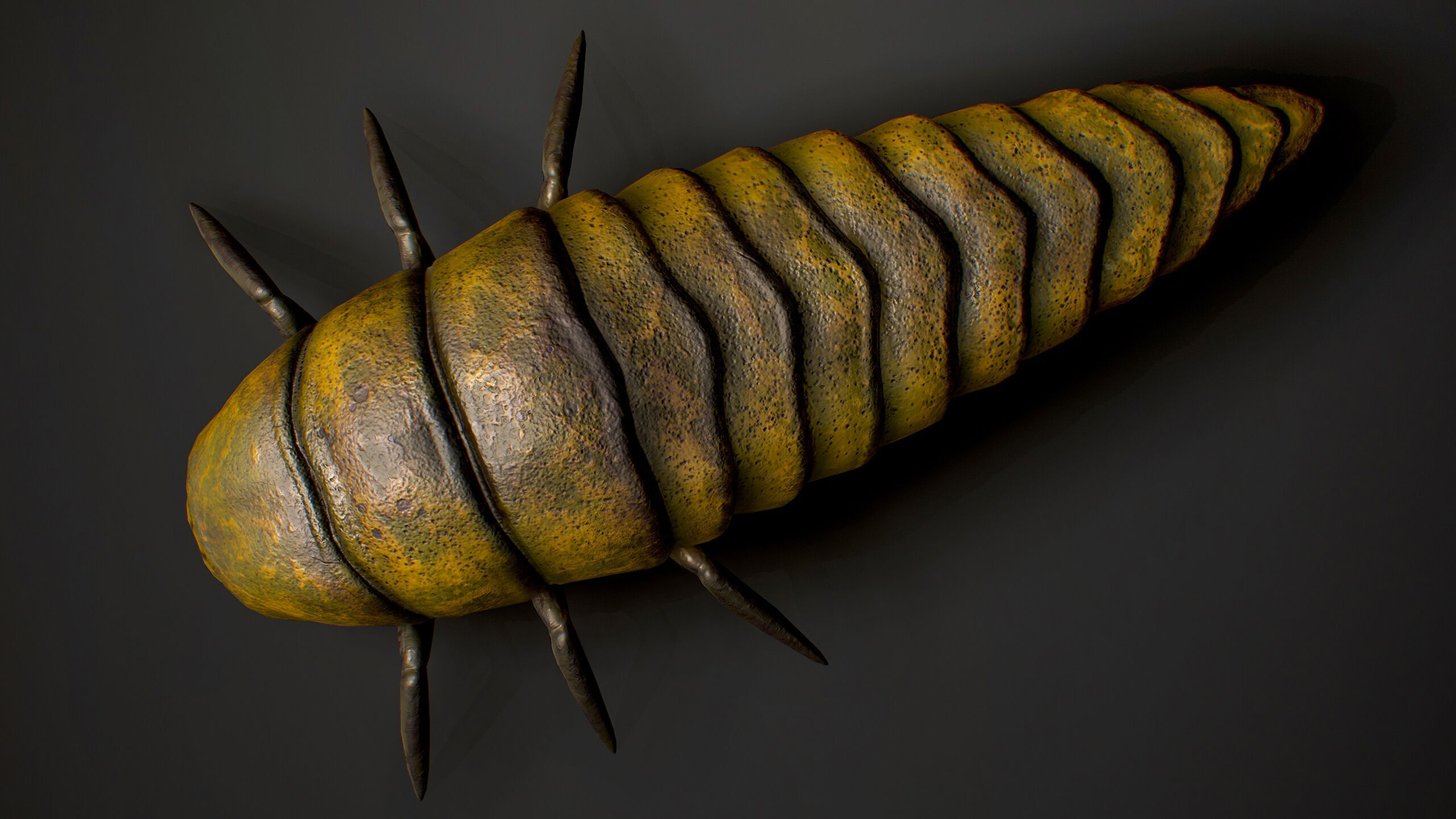 Larva insect1 - Game Ready Low-poly 3D model Low-poly 3D model_5