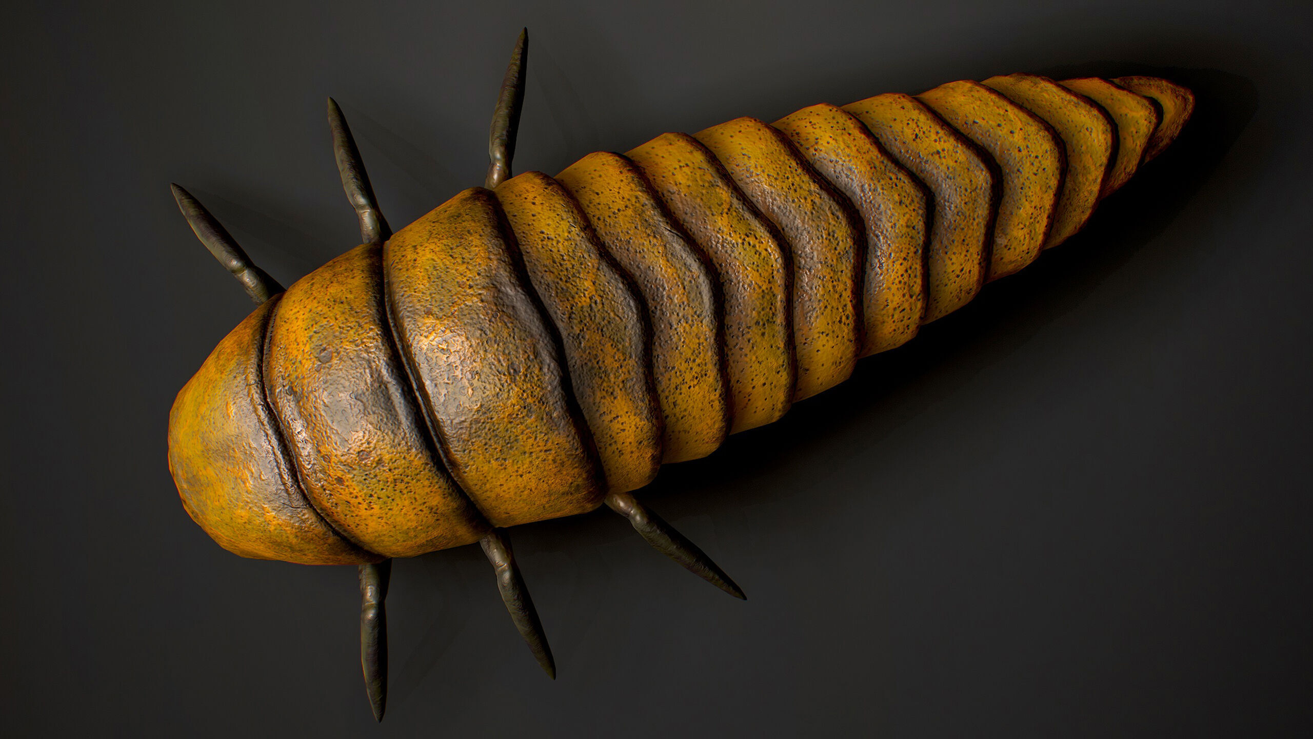 Larva insect1 - Game Ready Low-poly 3D model Low-poly 3D model_3