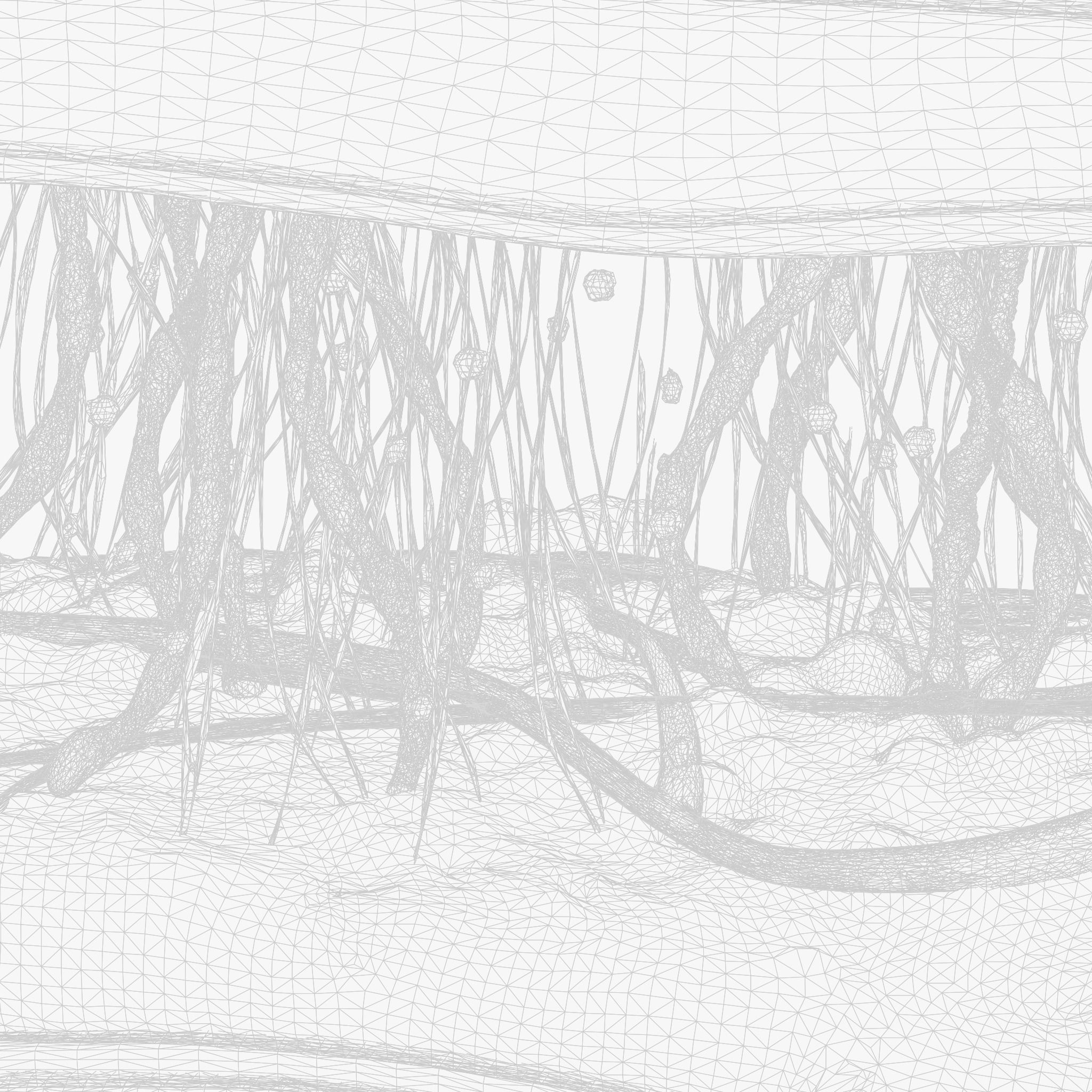 Skin Cross Section 3D model_11