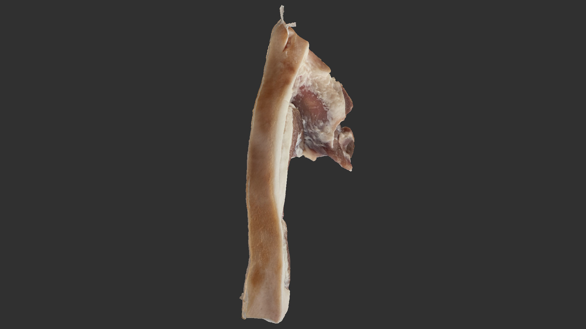 Hanging pork 3d Scan 3D model_1