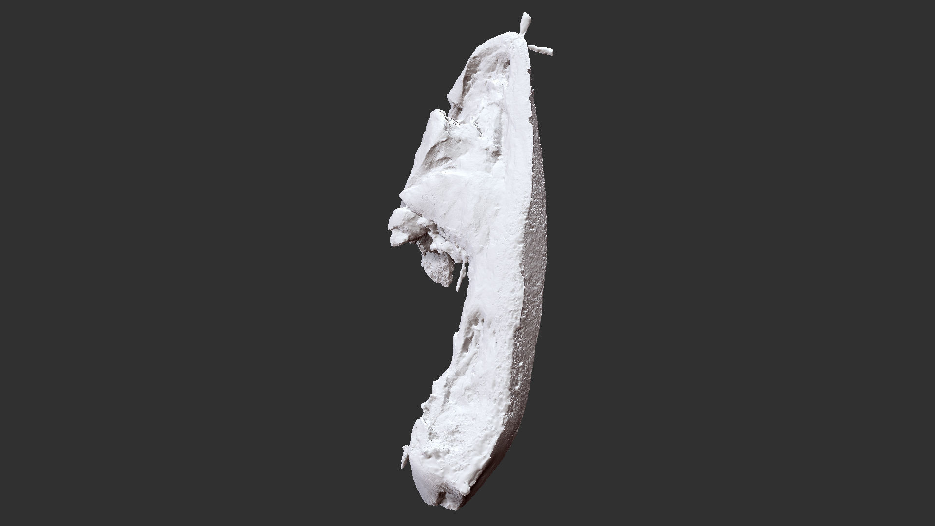 Hanging pork 3d Scan 3D model_19