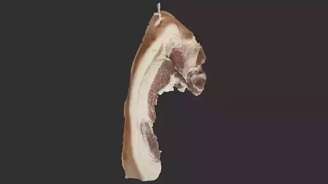 Hanging pork 3d Scan