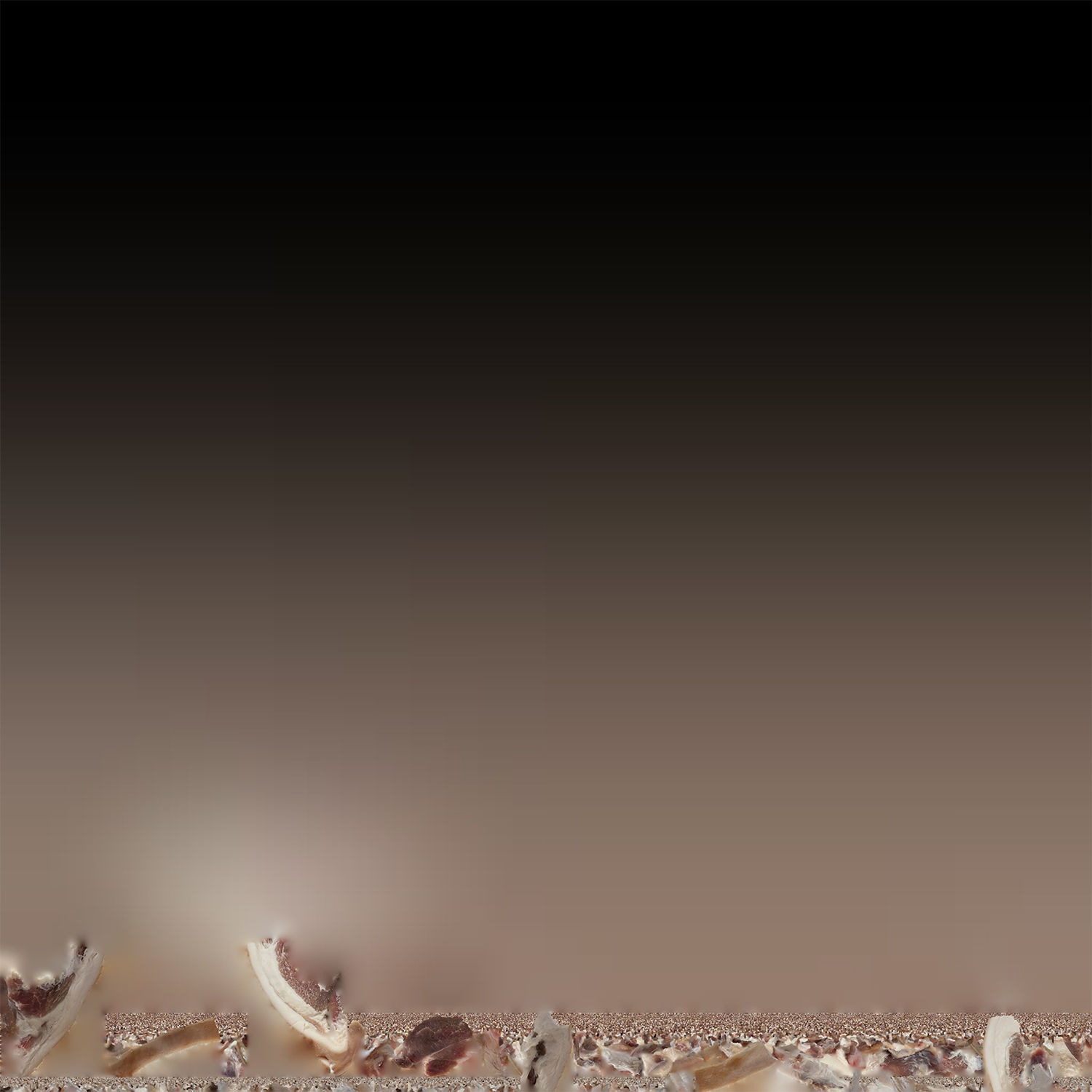 Hanging pork 3d Scan 3D model_21