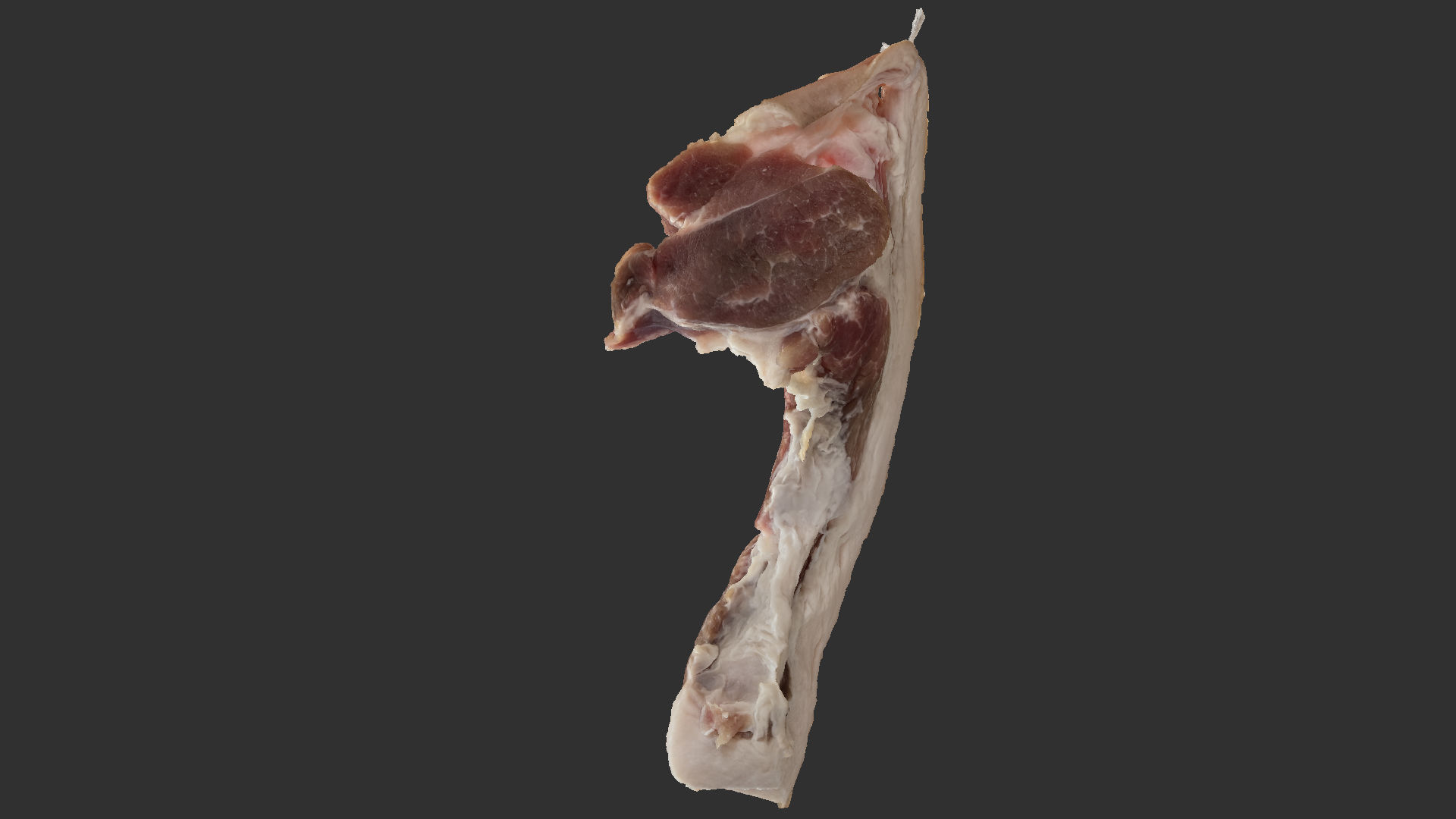 Hanging pork 3d Scan 3D model_9