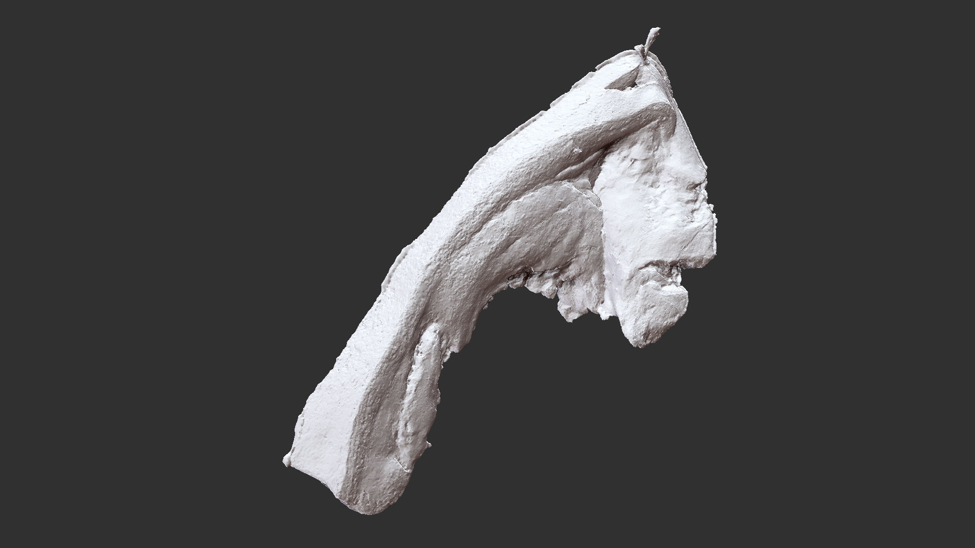 Hanging pork 3d Scan 3D model_18