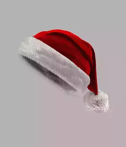 Christmas Hat