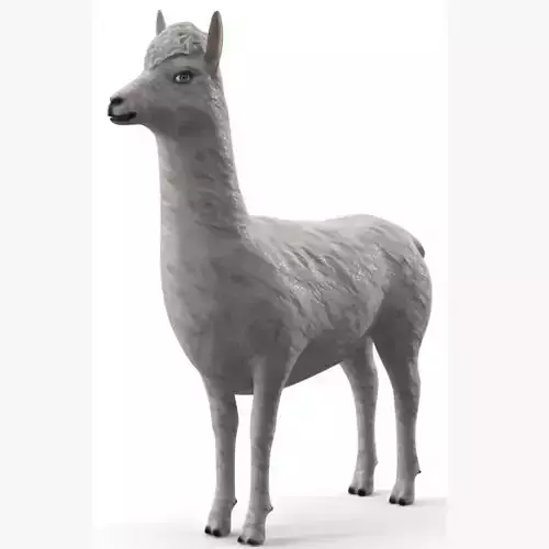 Low Poly Animal Cartoon Lama - Alpaca -  llama - Unwapped 4K