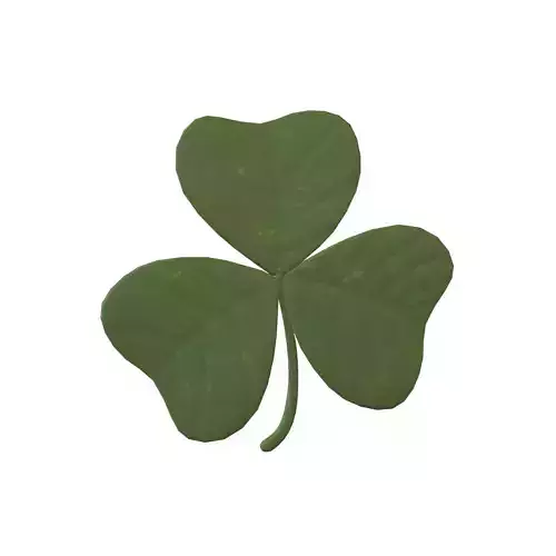 Shamrock v2 001 Low-poly 3D model