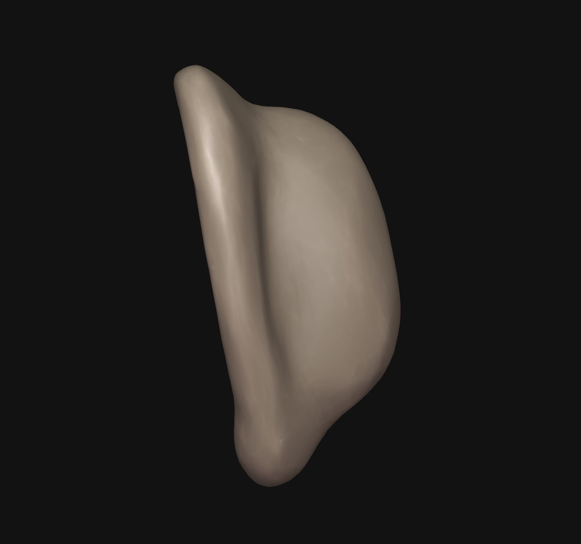 Human ear 3D print model_4