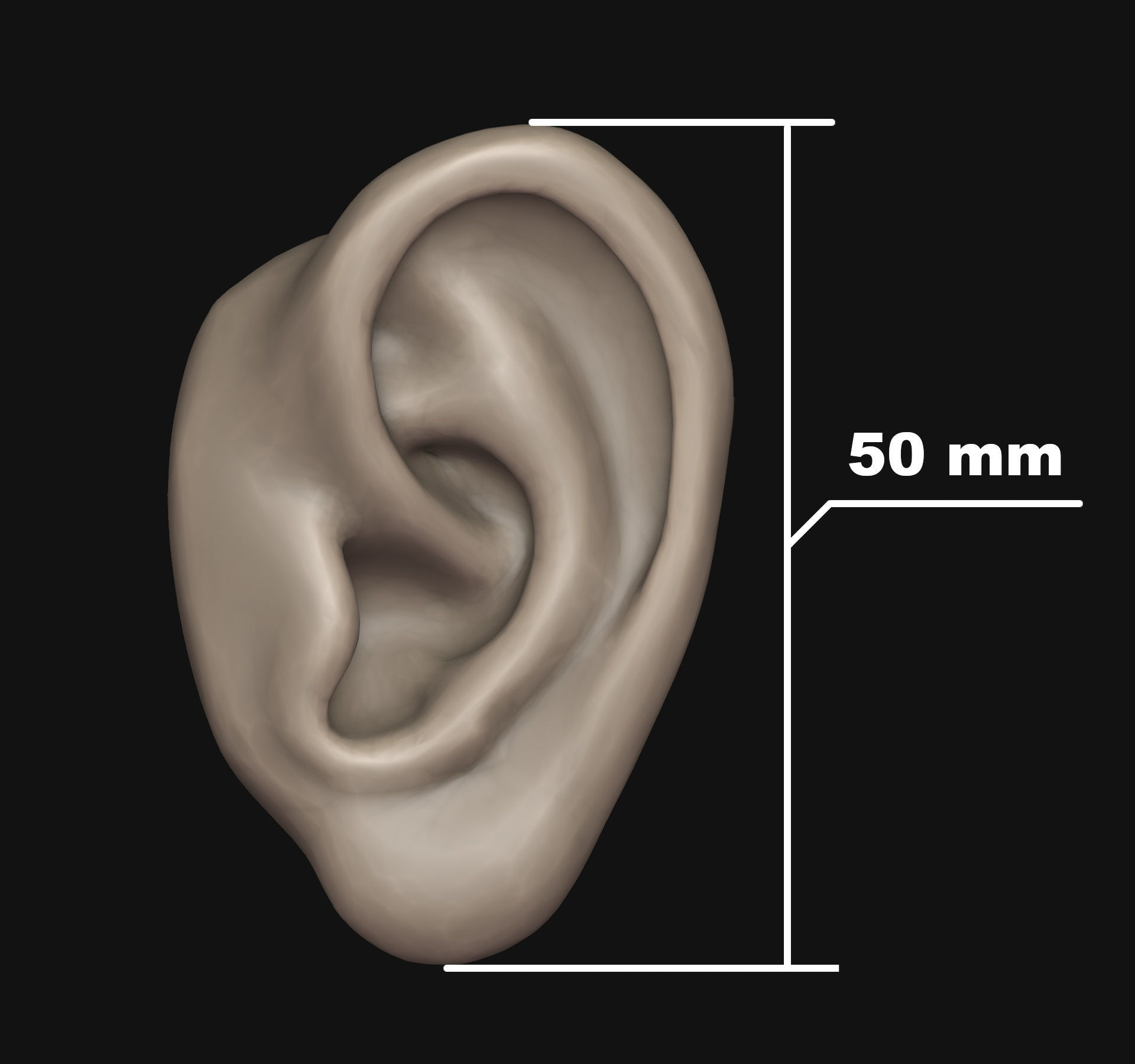 Human ear 3D print model_7