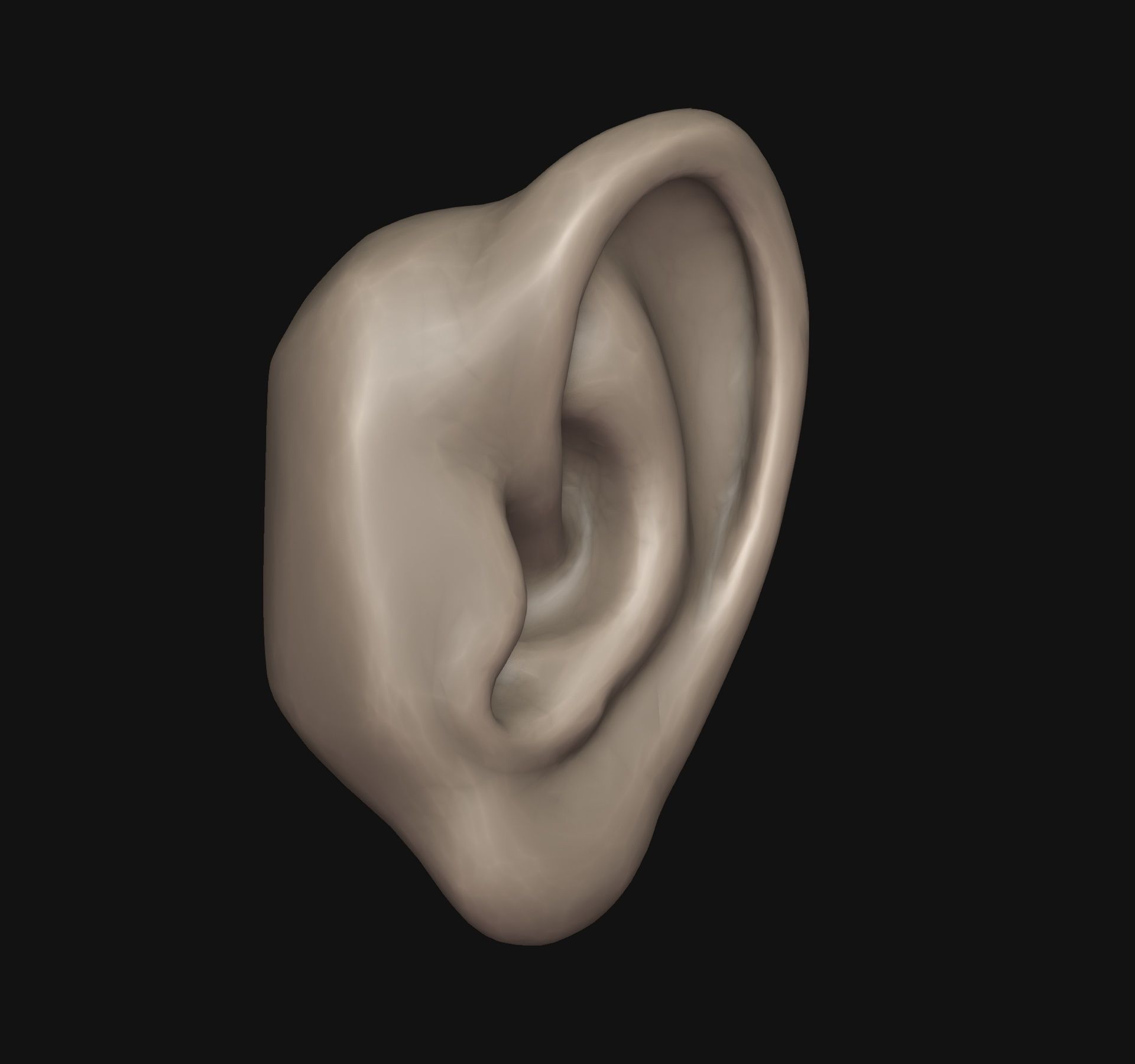 Human ear 3D print model_1