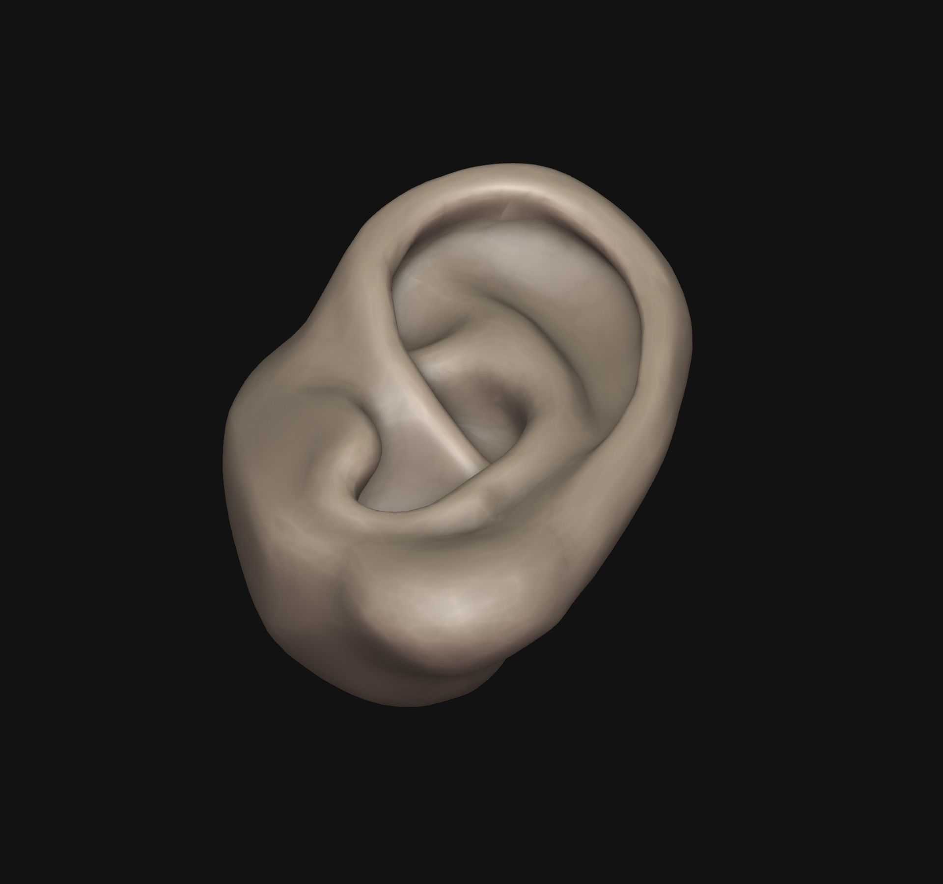 Human ear 3D print model_5