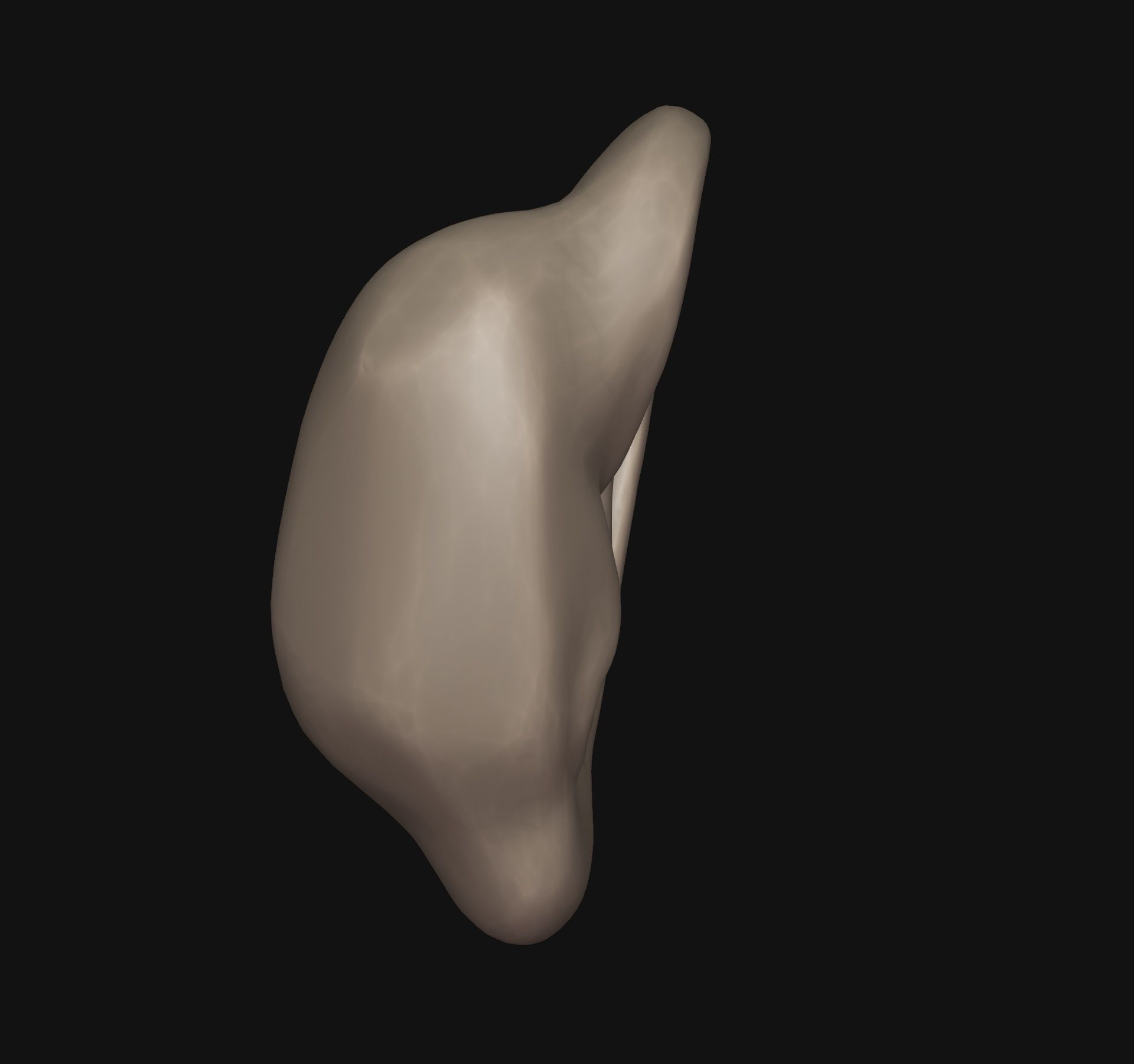 Human ear 3D print model_2