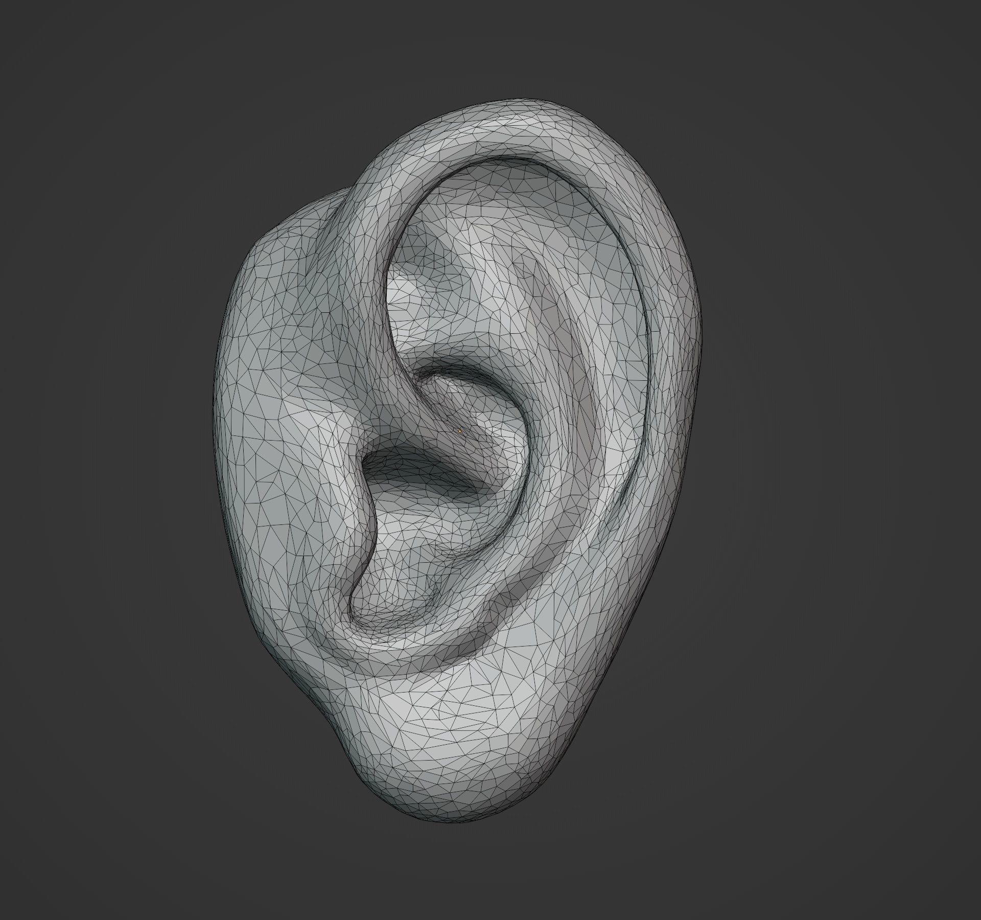 Human ear 3D print model_9