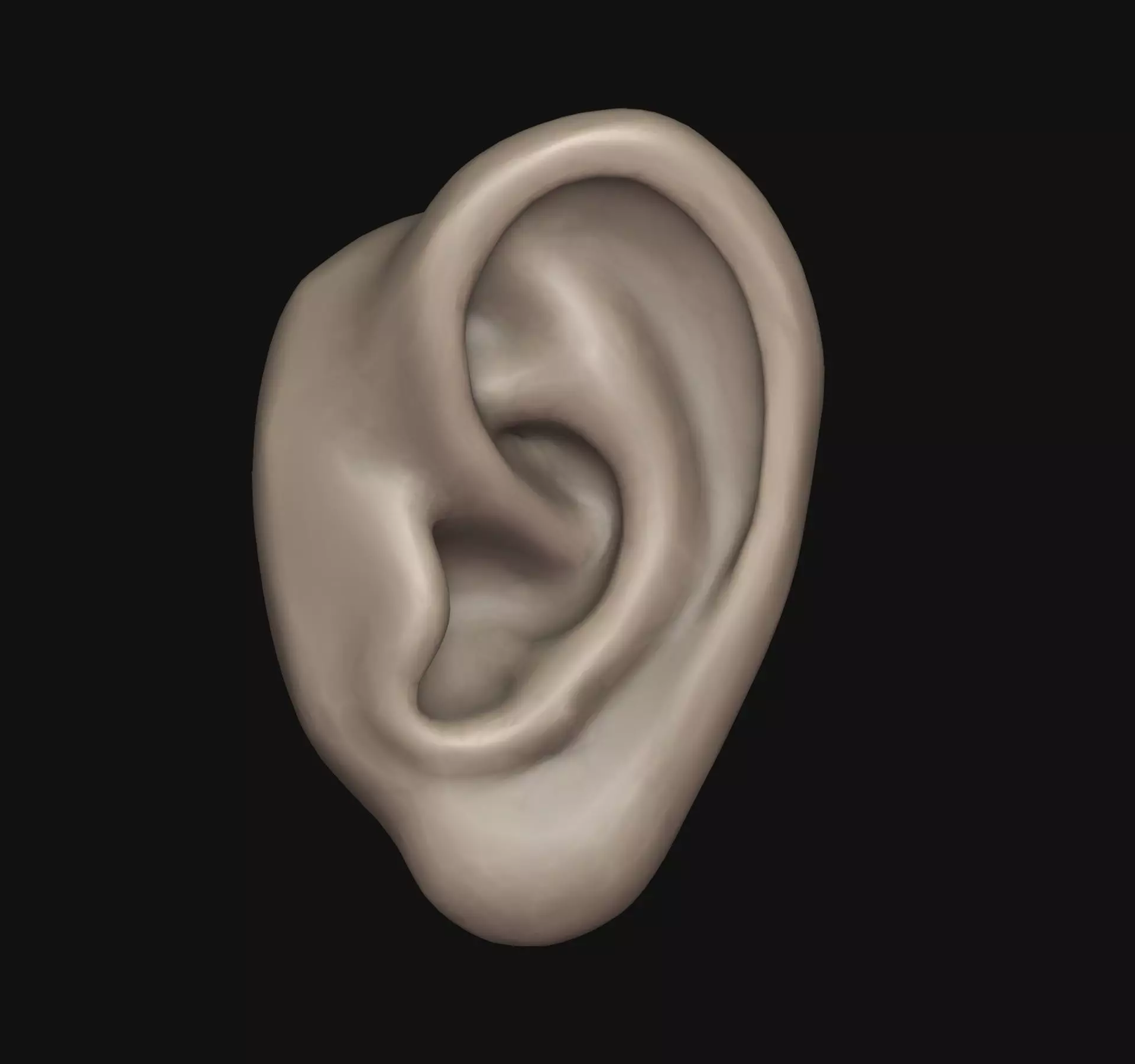 Human ear 3D print model_0