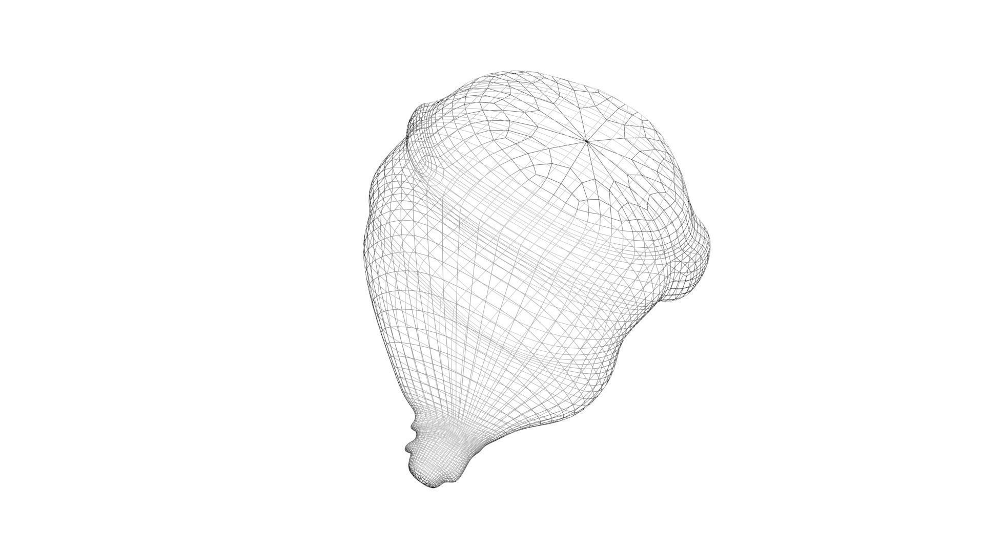Human Urinary Bladder 3D model_14