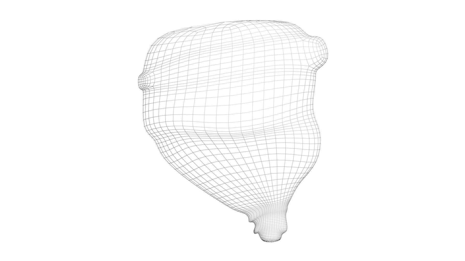 Human Urinary Bladder 3D model_18