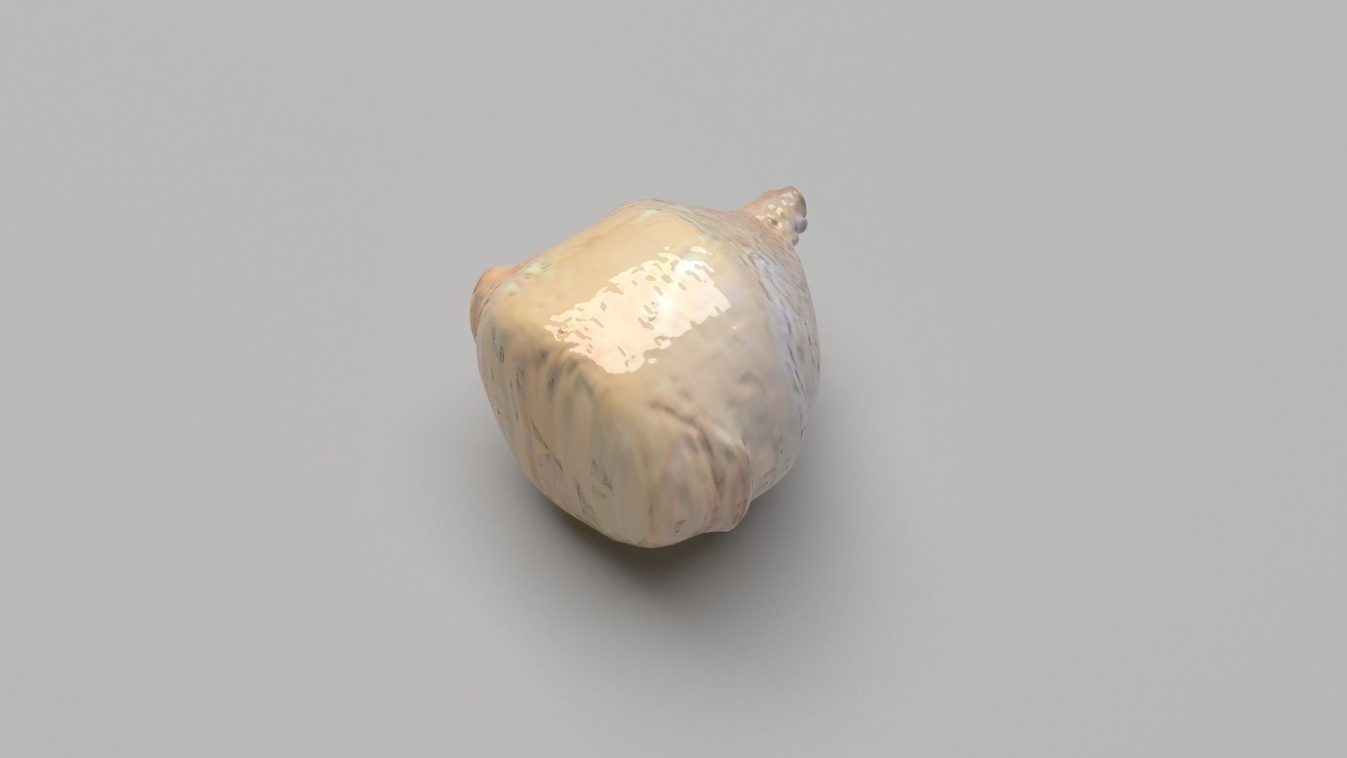 Human Urinary Bladder 3D model_3