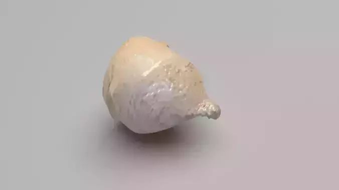 Human Urinary Bladder 3D model