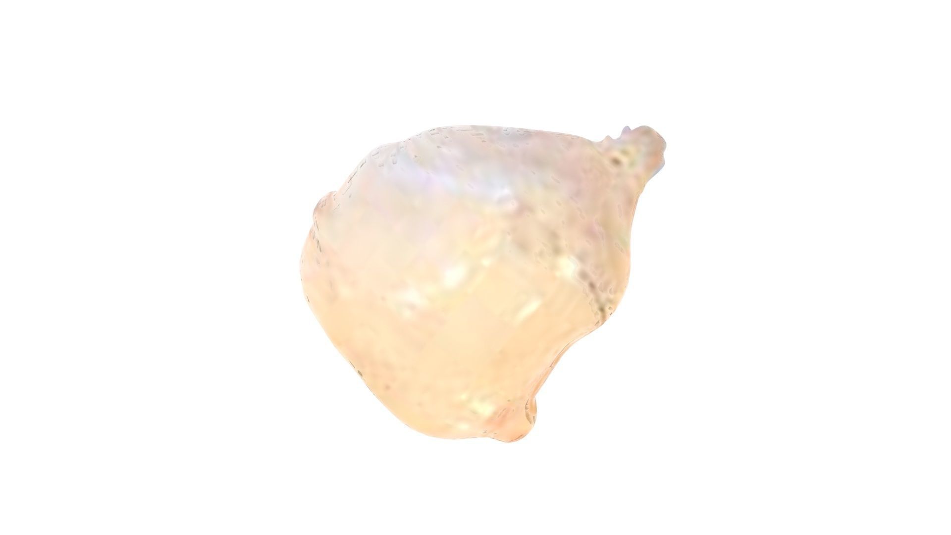 Human Urinary Bladder 3D model_11