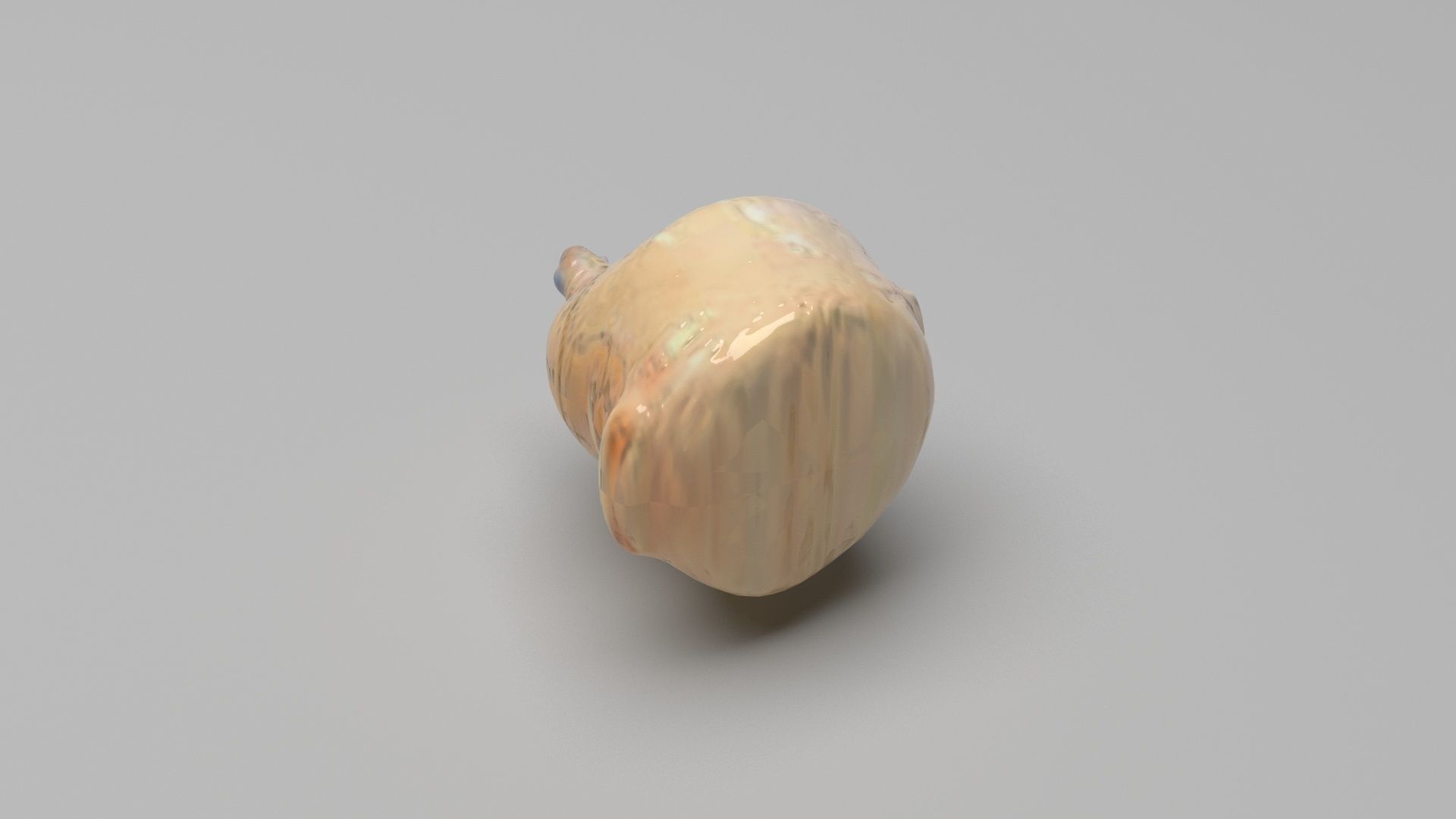 Human Urinary Bladder 3D model_2