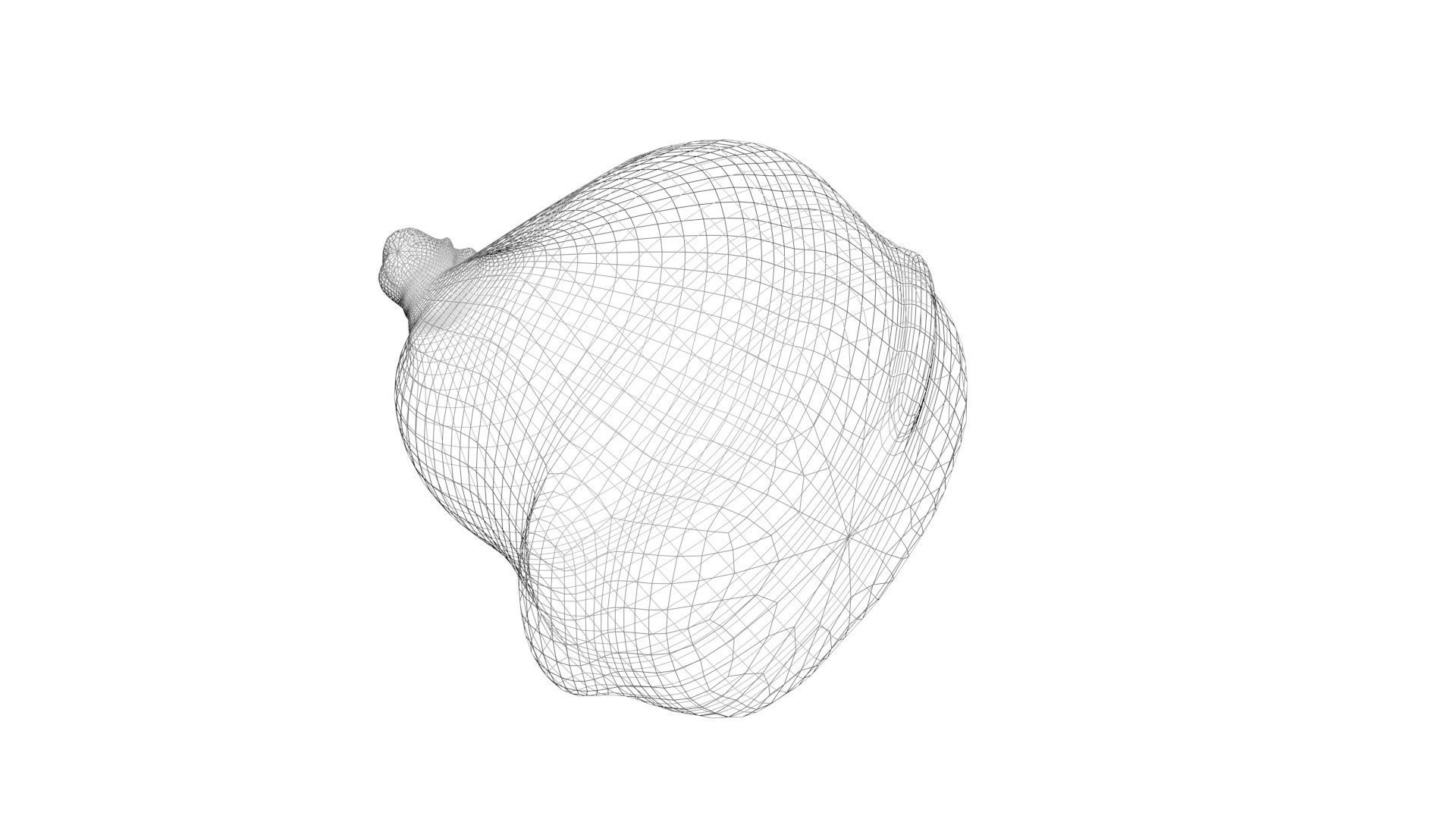 Human Urinary Bladder 3D model_15