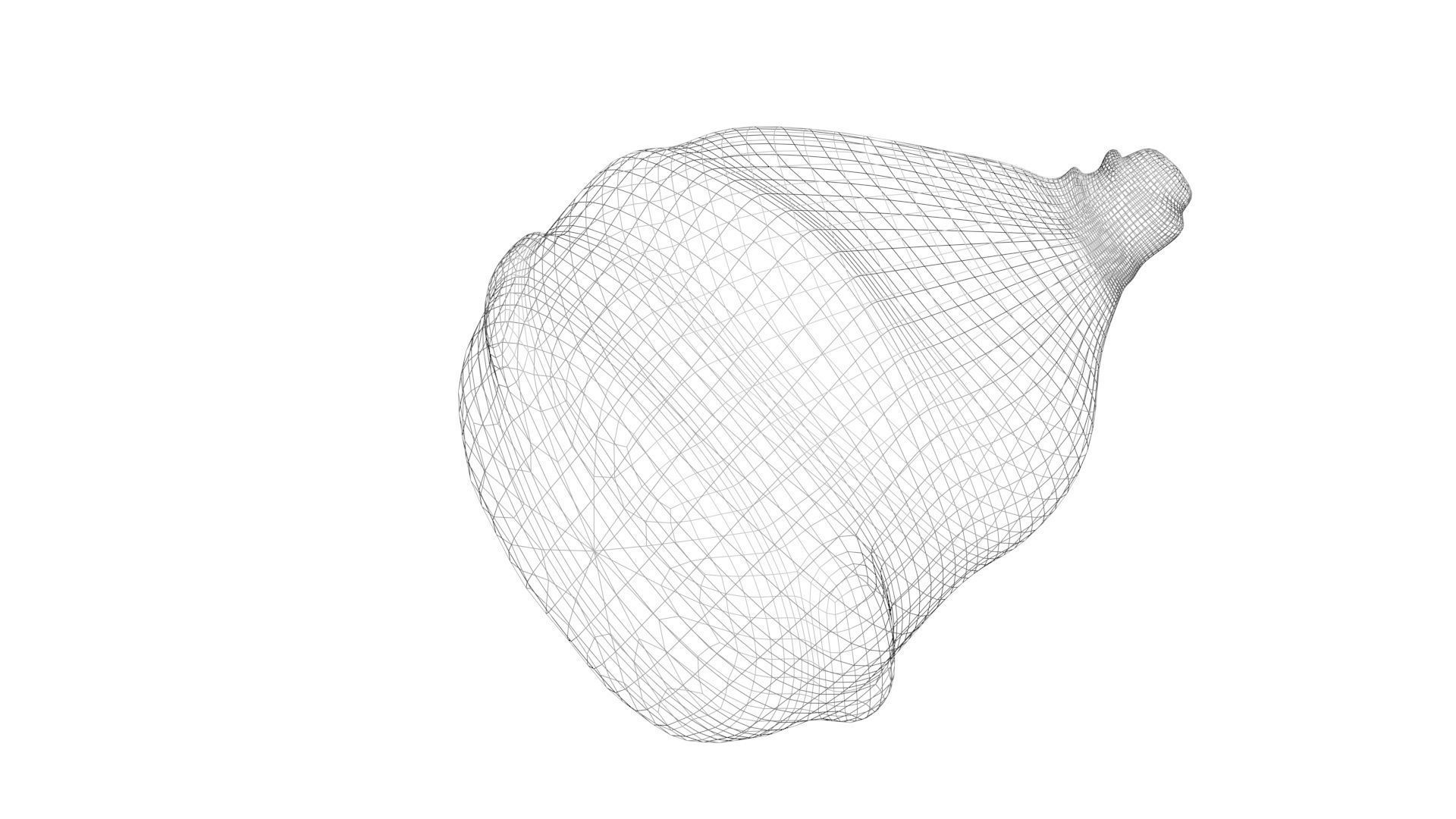 Human Urinary Bladder 3D model_17