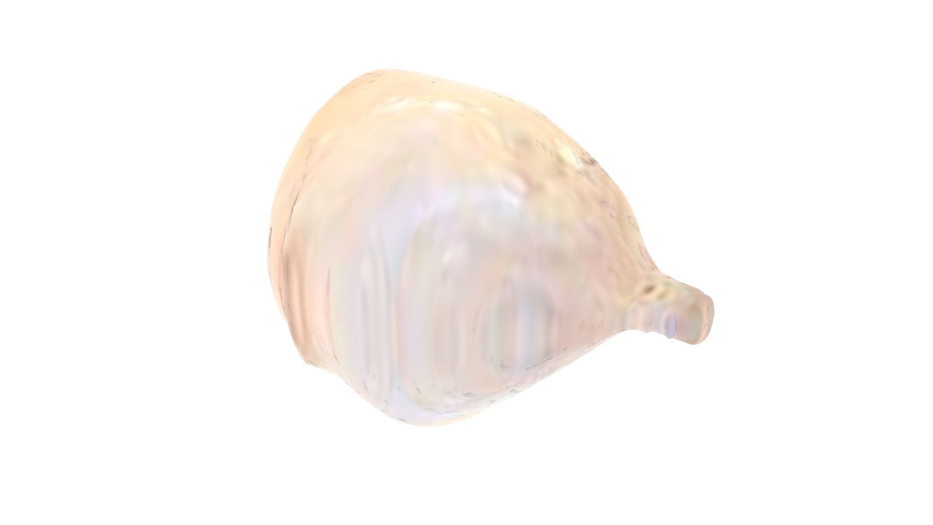 Human Urinary Bladder 3D model_7