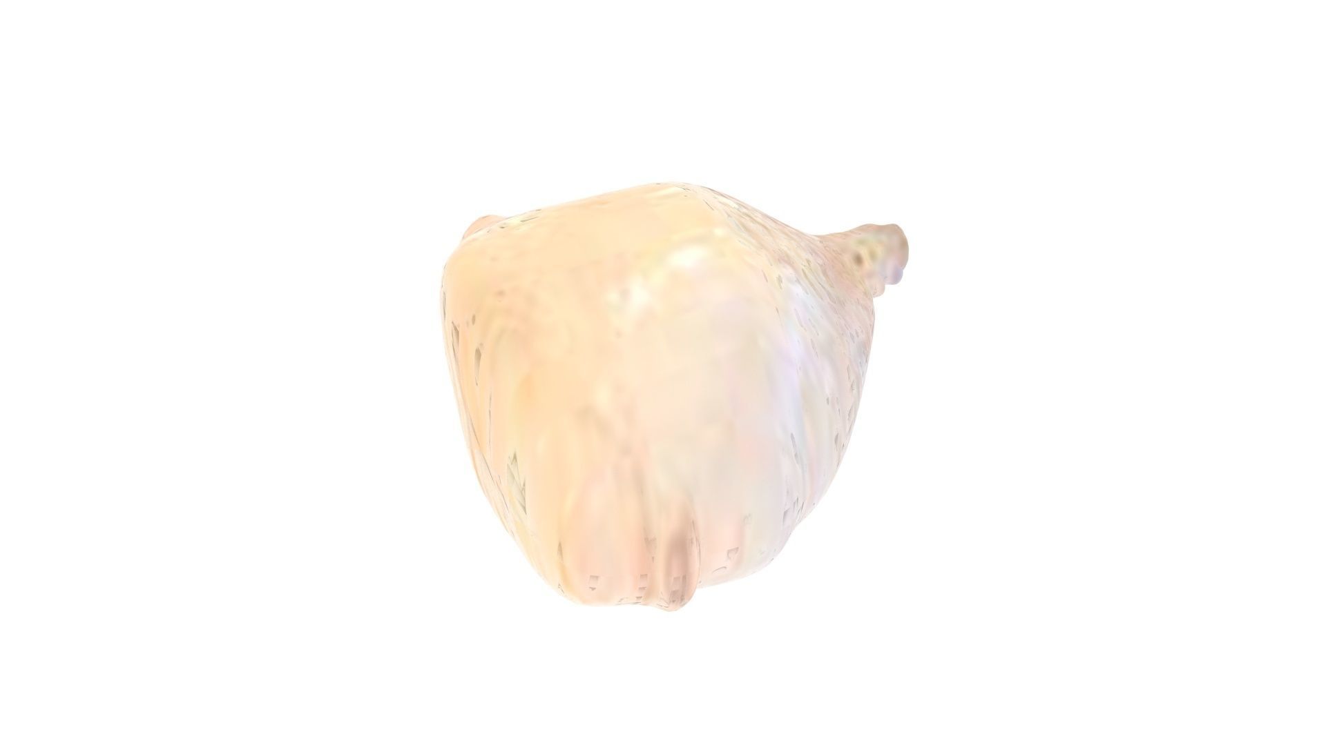 Human Urinary Bladder 3D model_10