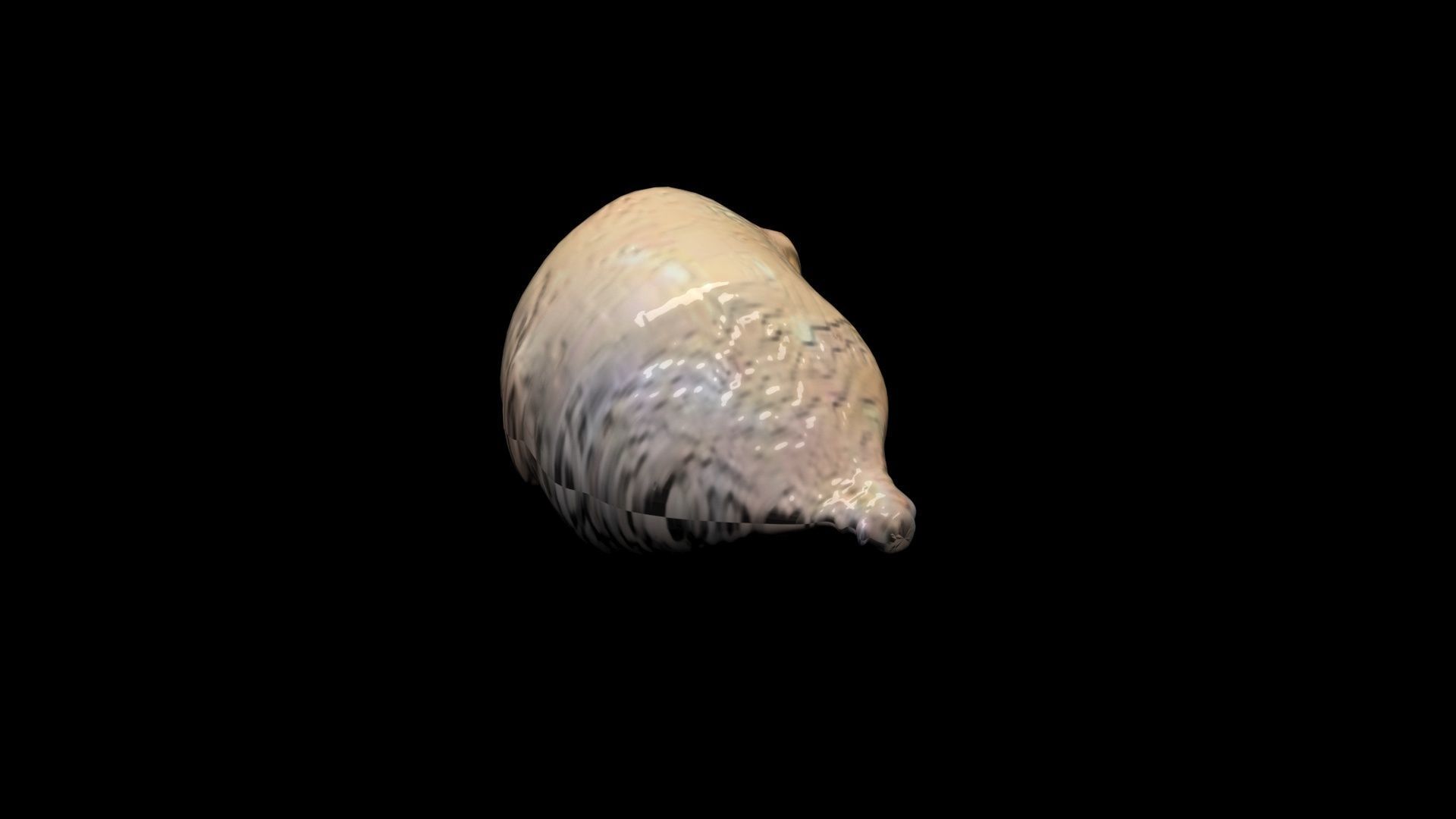Human Urinary Bladder 3D model_6