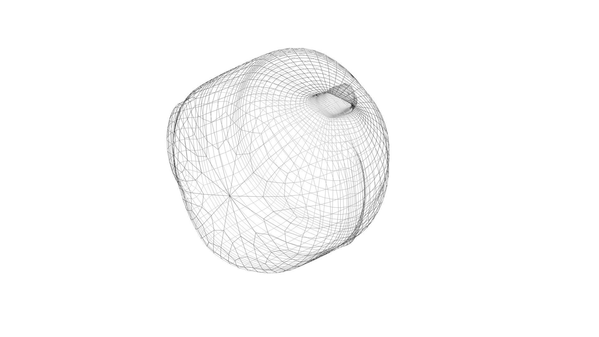 Human Urinary Bladder 3D model_16