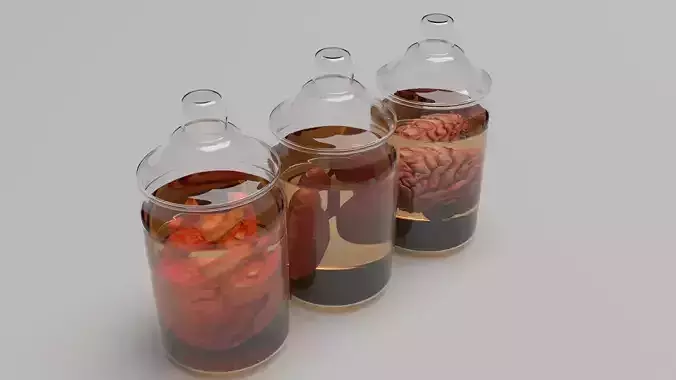 Vintage Organ Jars 3D model