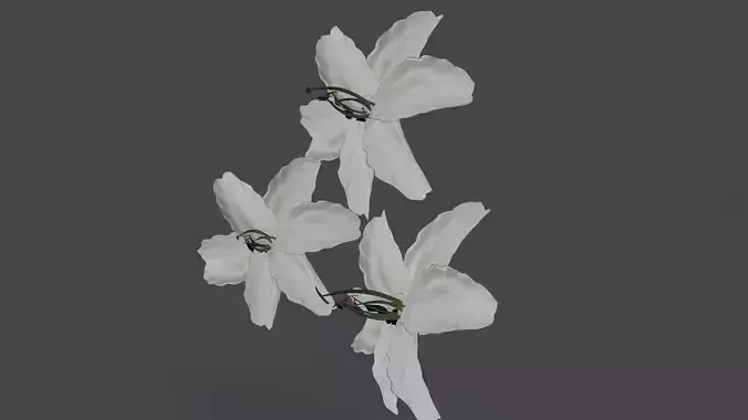 Lilly flower Free low-poly 3D model