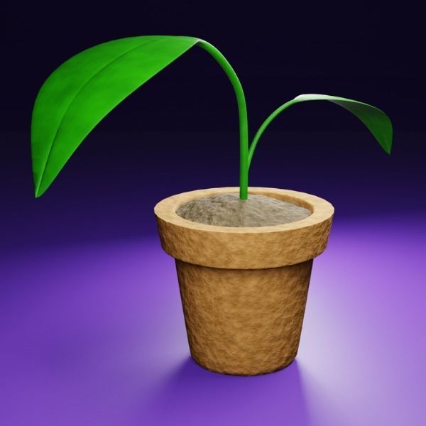 Plot plant 3D model_1