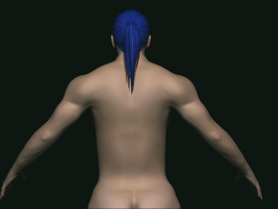 base mesh female Low-poly 3D model_6