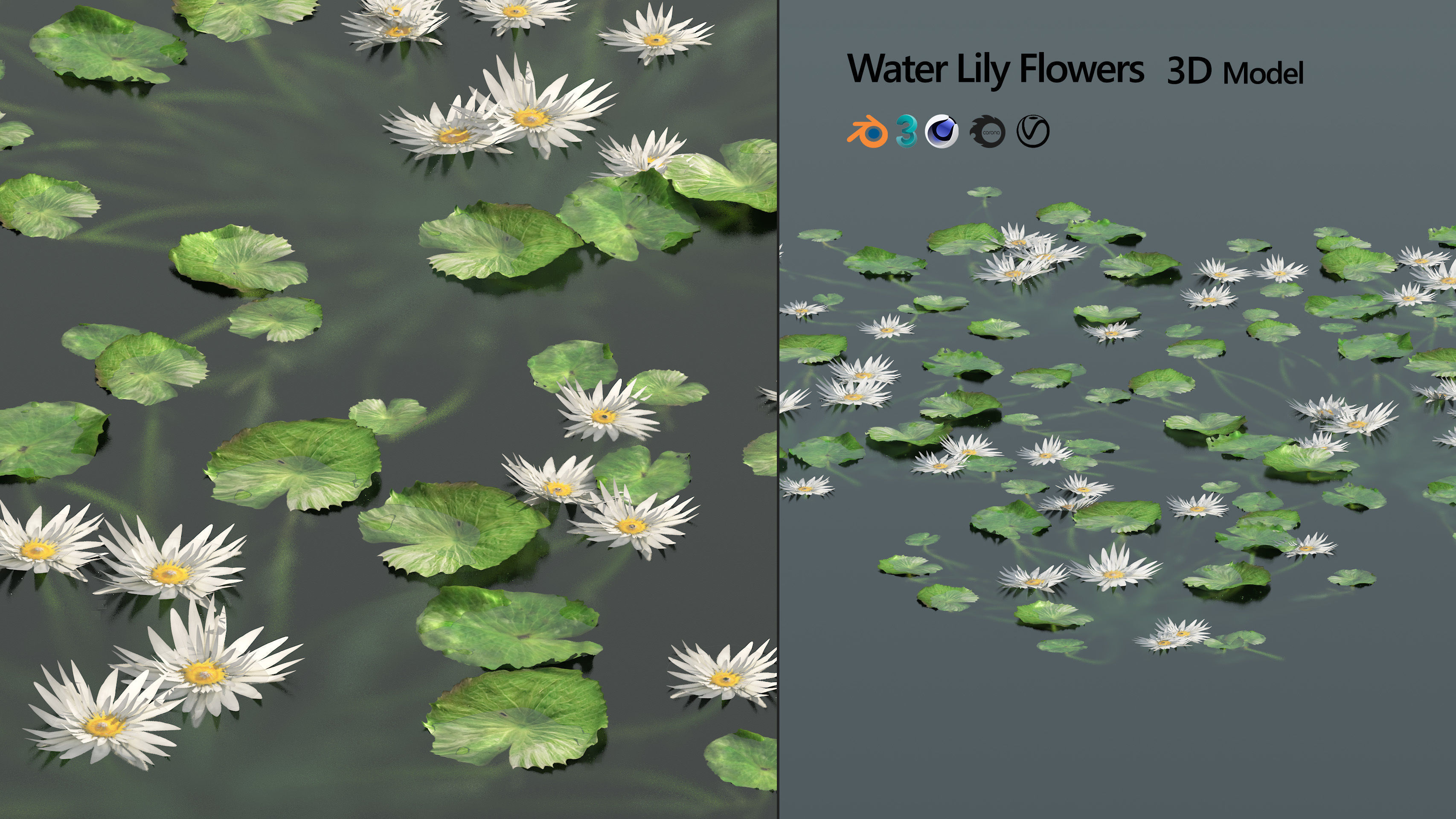 Water lily flower Low-poly 3D model_5