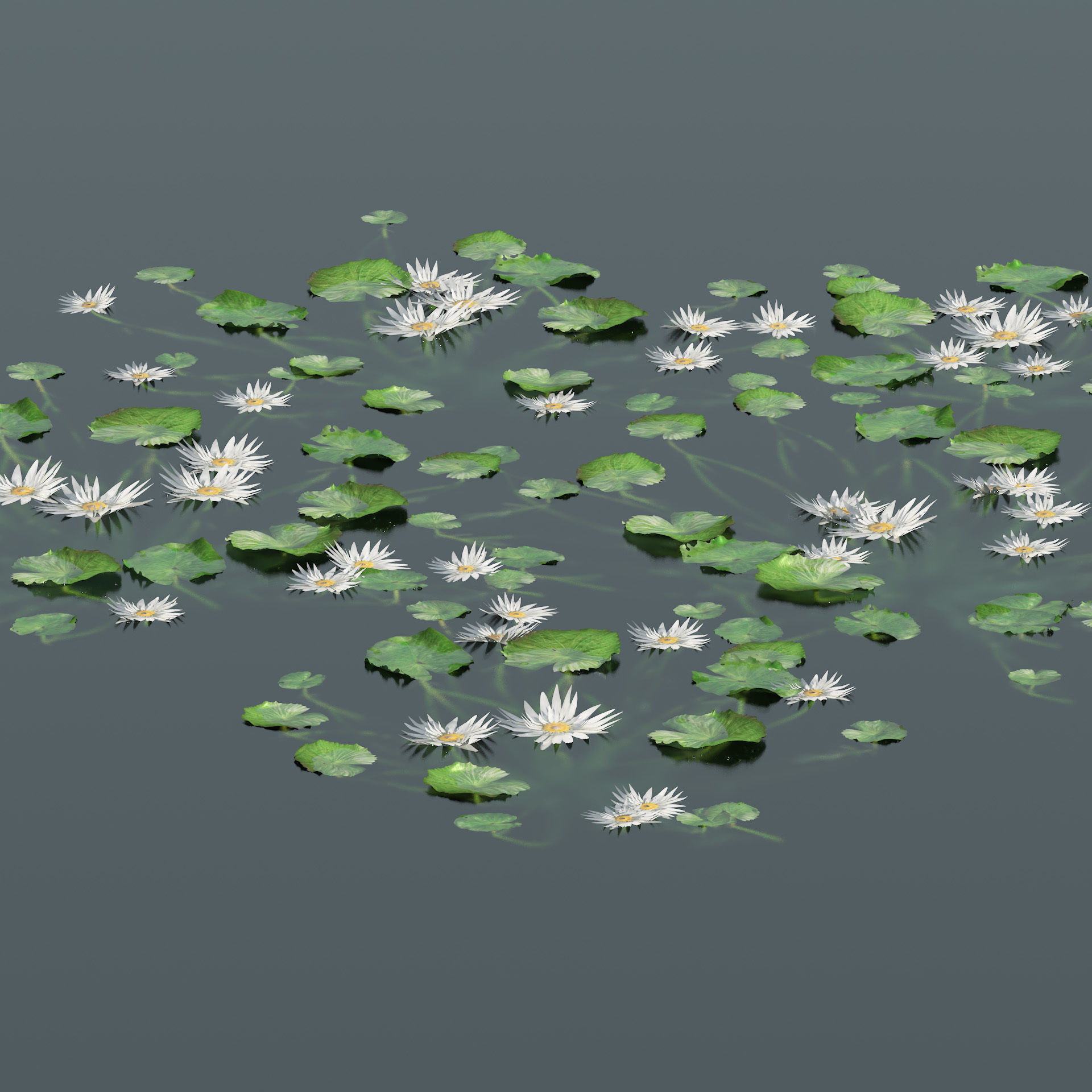 Water lily flower Low-poly 3D model_1