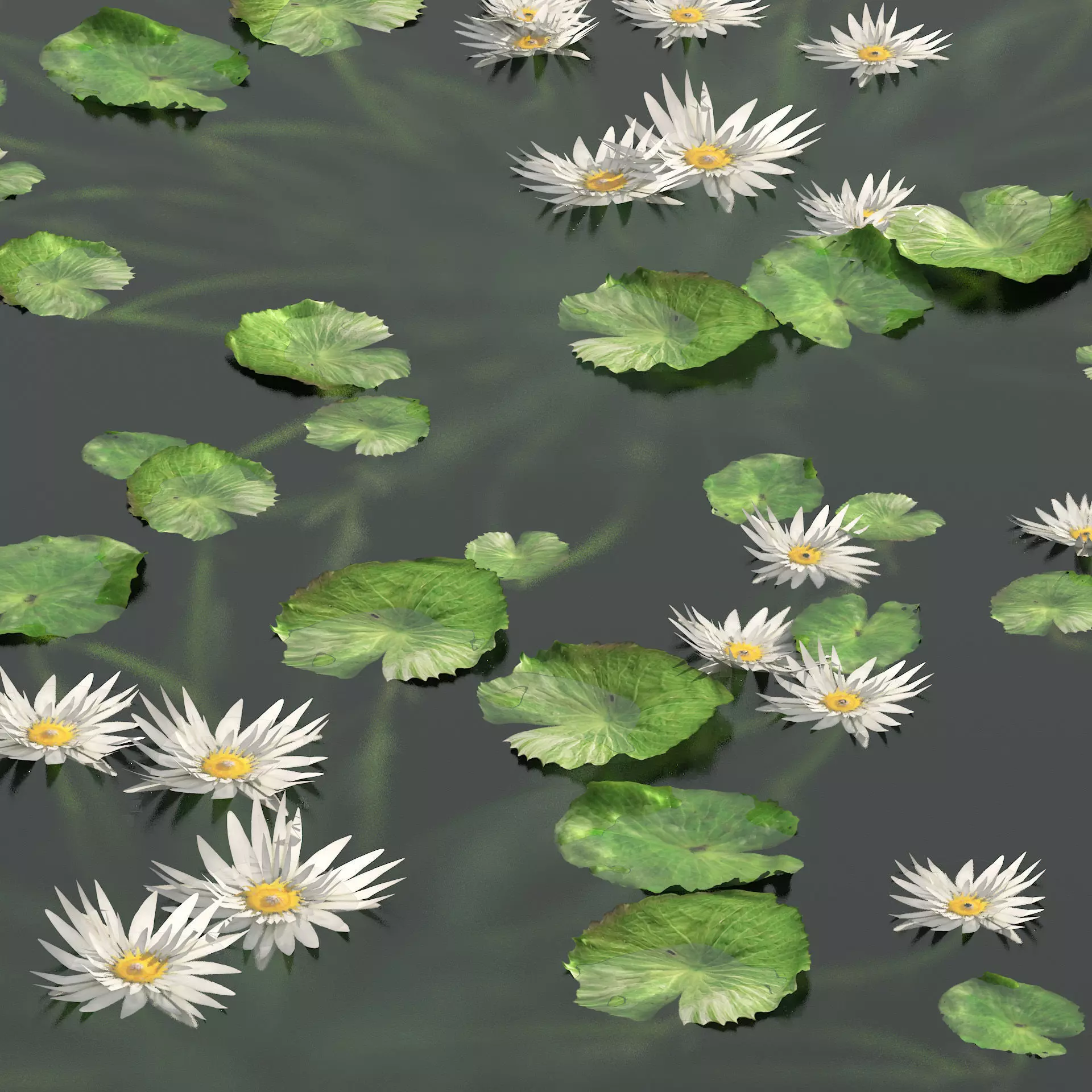 Water lily flower Low-poly 3D model_0