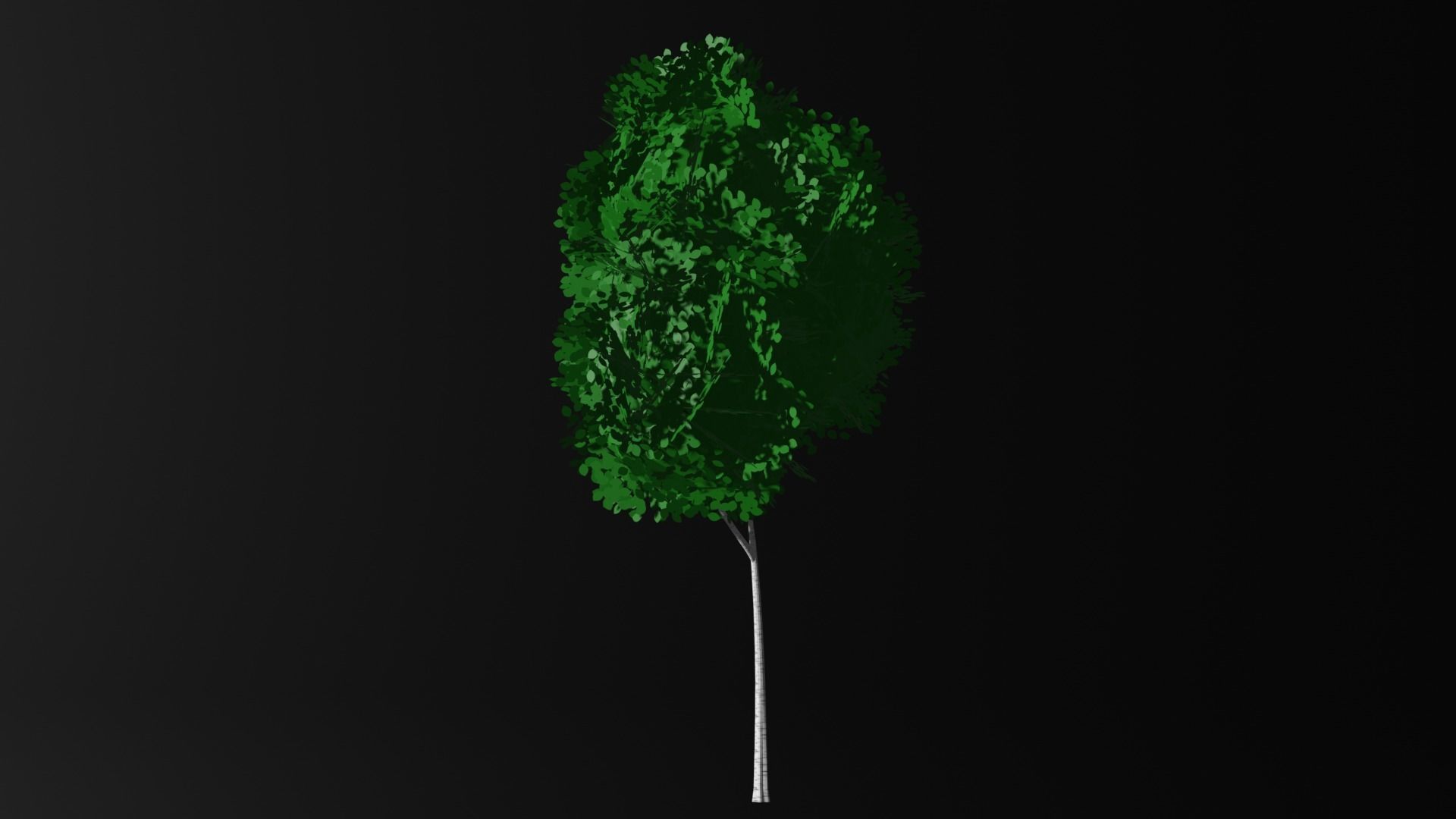 Stylized Birch Trees 3D model_5