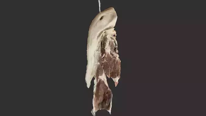 Hanging pork 3d Scan