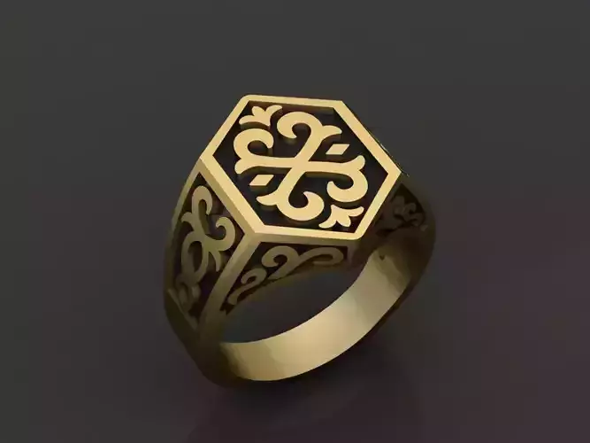 Luxury Men Ring