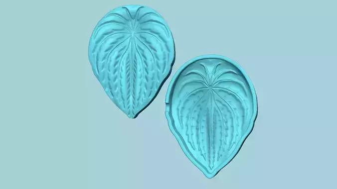 Succulent Watermelon Peperomia - Molding Arrangement EVA Craft